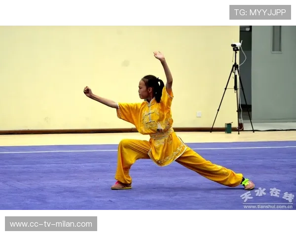 武术刀术连招干净利索